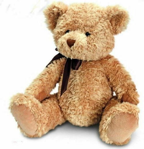 Personalised Teddy Bear